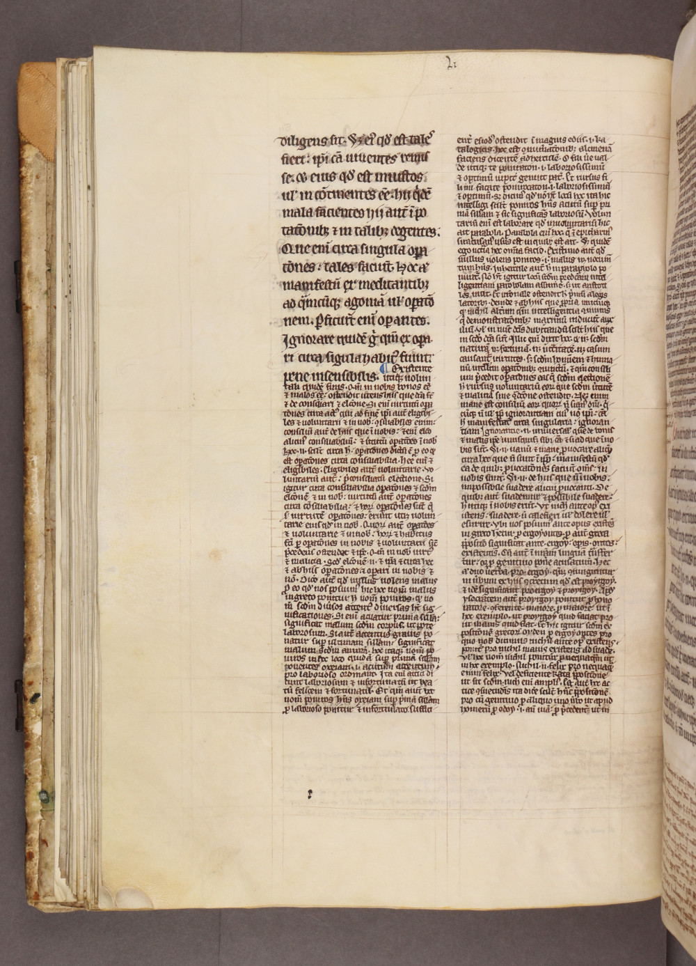 Folio 59 verso